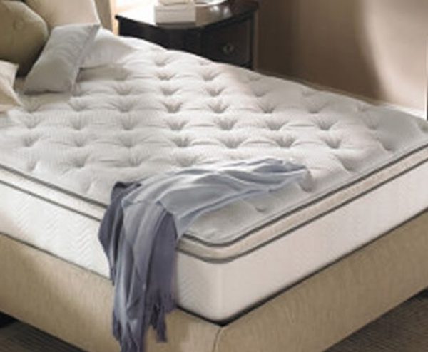 Beautysleep Dahlia - Image 2