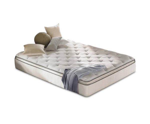 Beautysleep Dahlia - Image 3