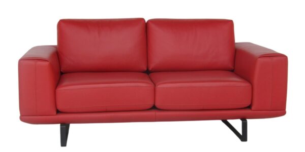 2 SEATER LEATHER SOFA (RED COLOR)