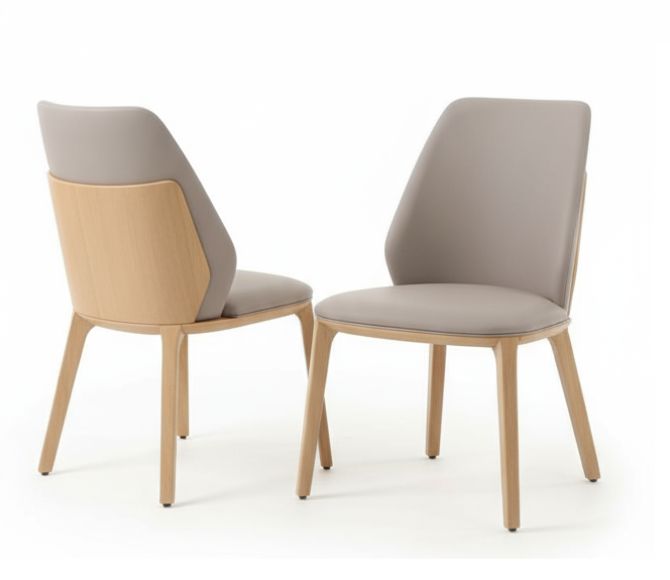 DC-305 Wooden Dining Chair